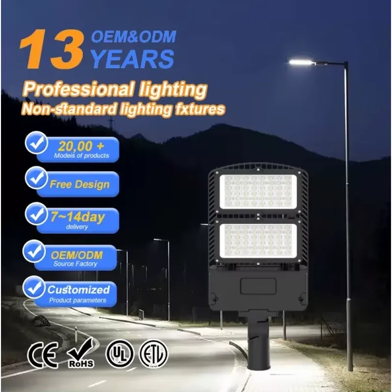 إضاءة LED خارجية بالجملة للشوا - مراجعة Ac Outdoor Power وسعره